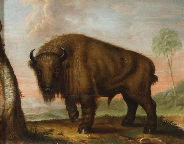 unknow artist Wisent oil painting image